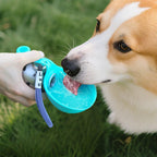 Collapsible Pet Water Bottle & Bowl