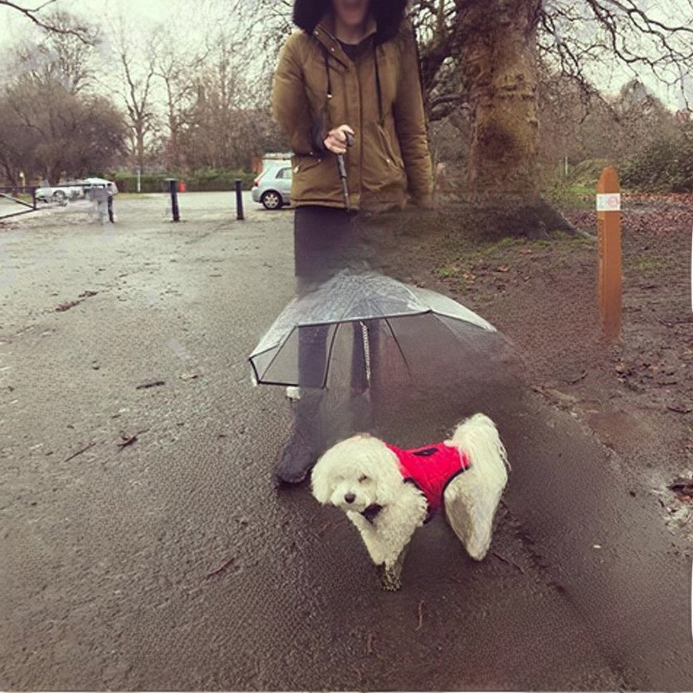 Transparent Pet Umbrella with Adjustable Leash