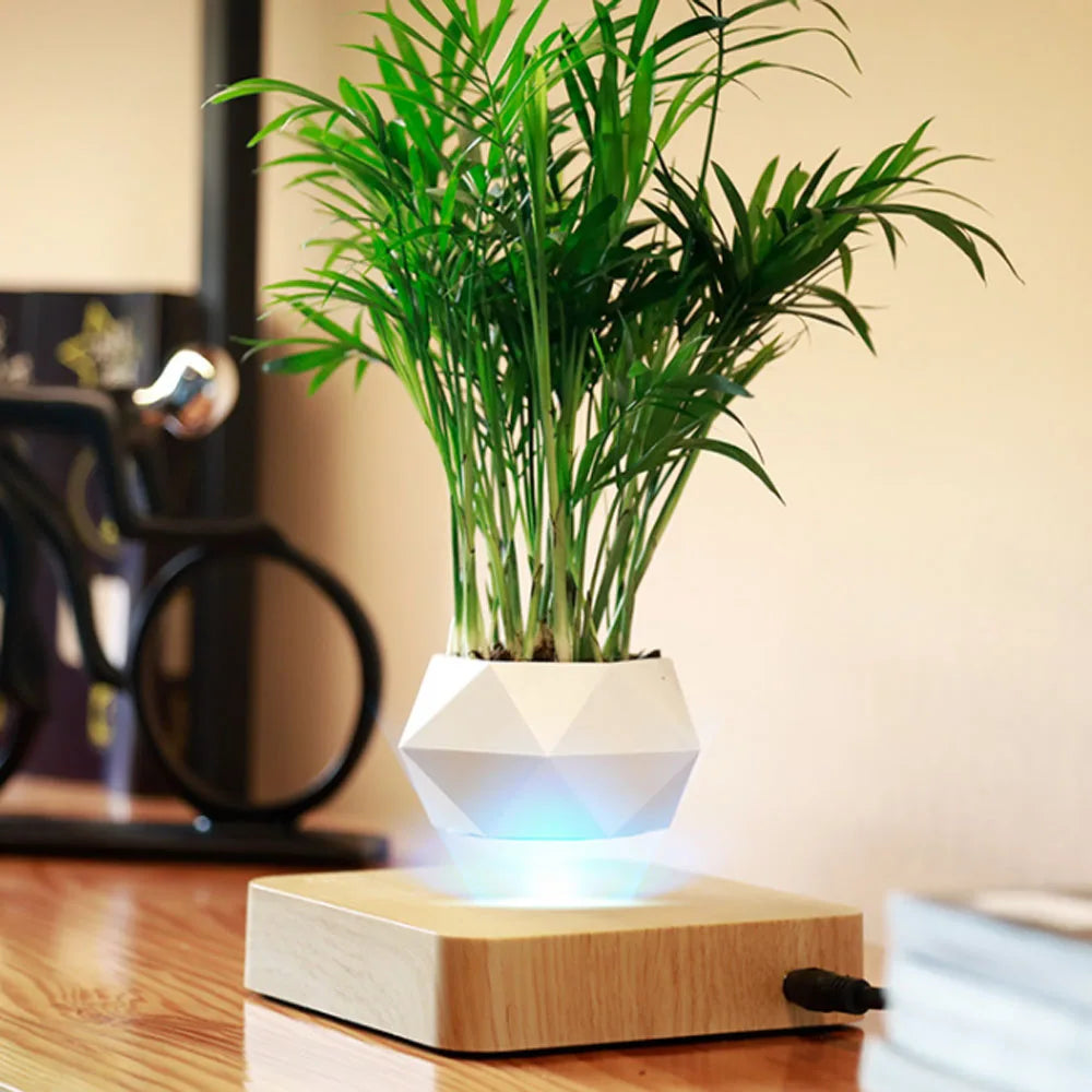White geometric levitating planter floating above a light wood magnetic base with a lush green indoor plant, displayed on a wooden tabletop in a modern home setting.